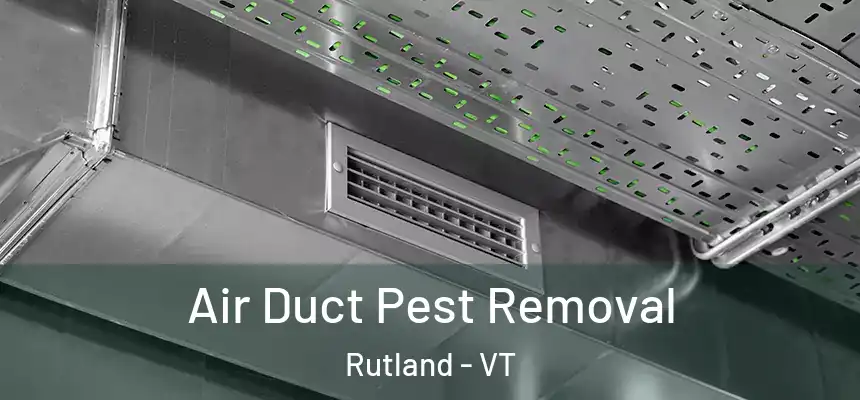  Air Duct Pest Removal Rutland - VT