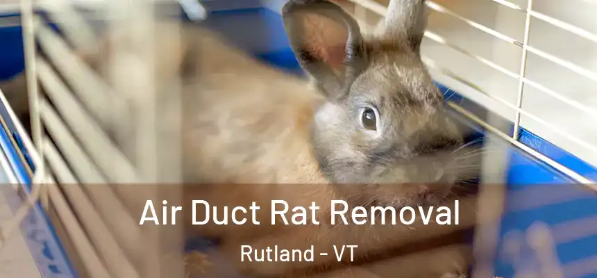  Air Duct Rat Removal Rutland - VT