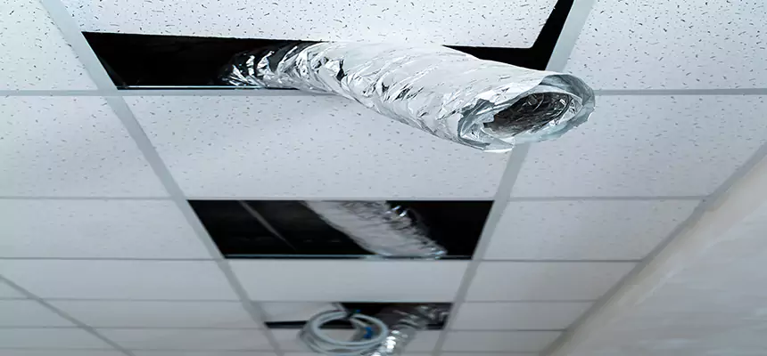 Our Air Duct Pet Hair Removal Services in Rutland, VT