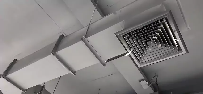 Our Pest Removal From Ducts Services in Rutland, VT