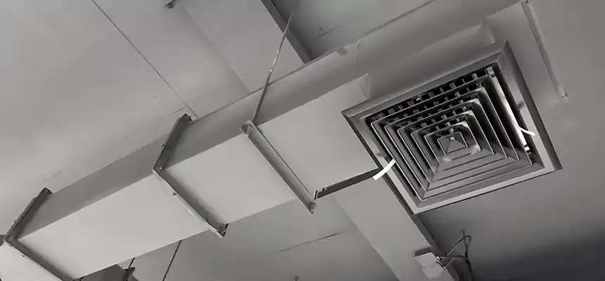 Our Rodent Droppings In Vents Services in Rutland, VT