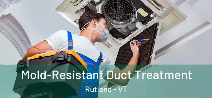  Mold-Resistant Duct Treatment Rutland - VT