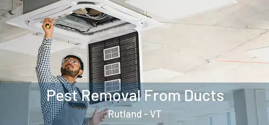  Pest Removal From Ducts Rutland - VT