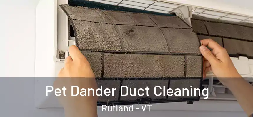 Pet Dander Duct Cleaning Rutland - VT