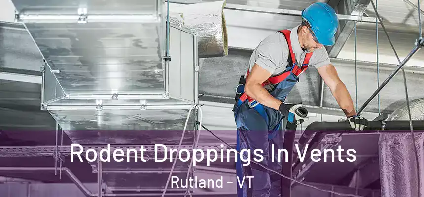 Rodent Droppings In Vents Rutland - VT