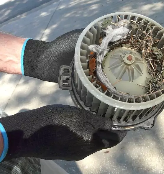 About Air Duct Rat Removal in Rutland, VT