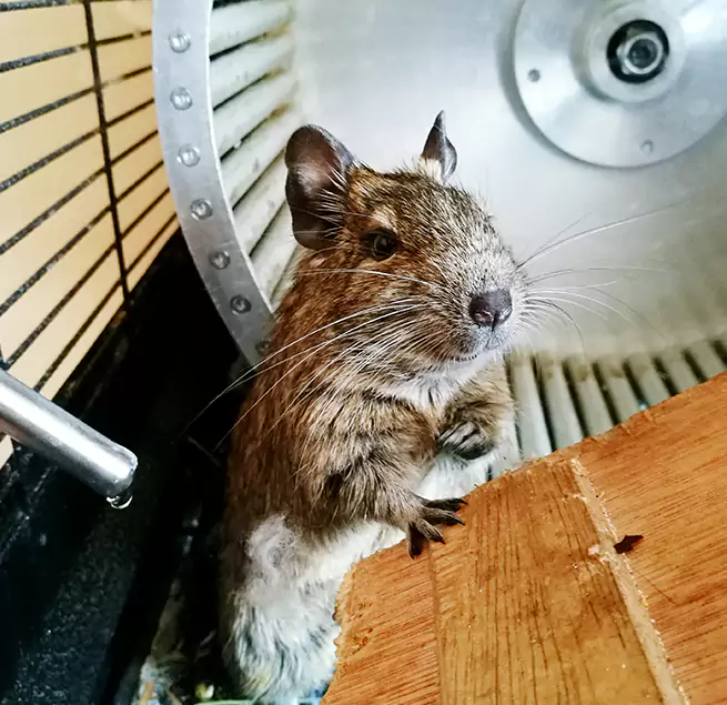 Why Homeowners & Businesses Trust Us Rutland, VT