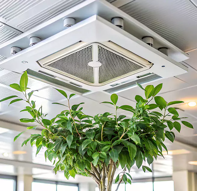 Why Homeowners & Businesses Trust Us in Rutland, VT?